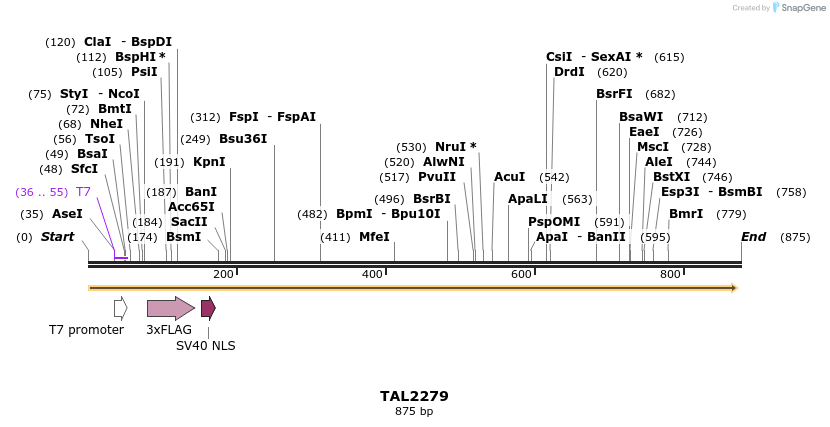 47181_map