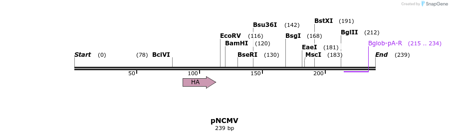 47182_map
