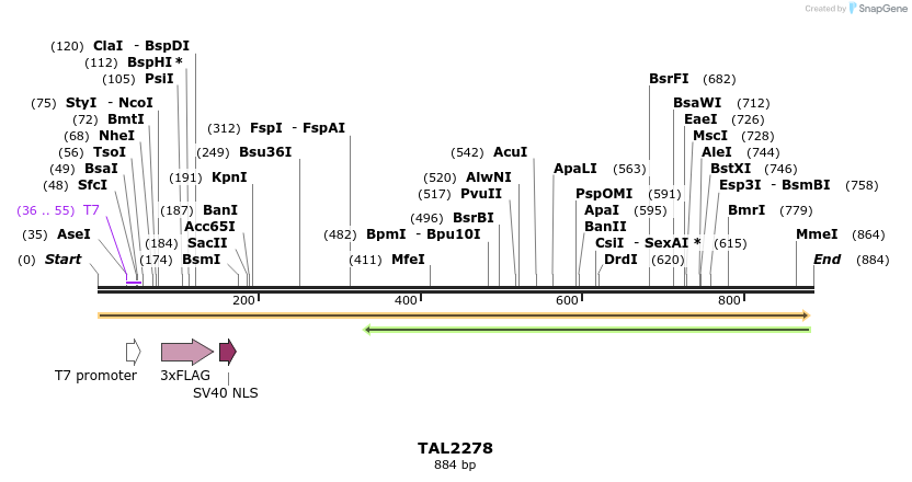 47184_map