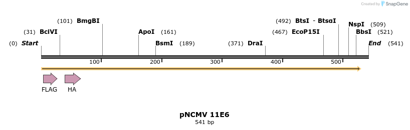 47185_map