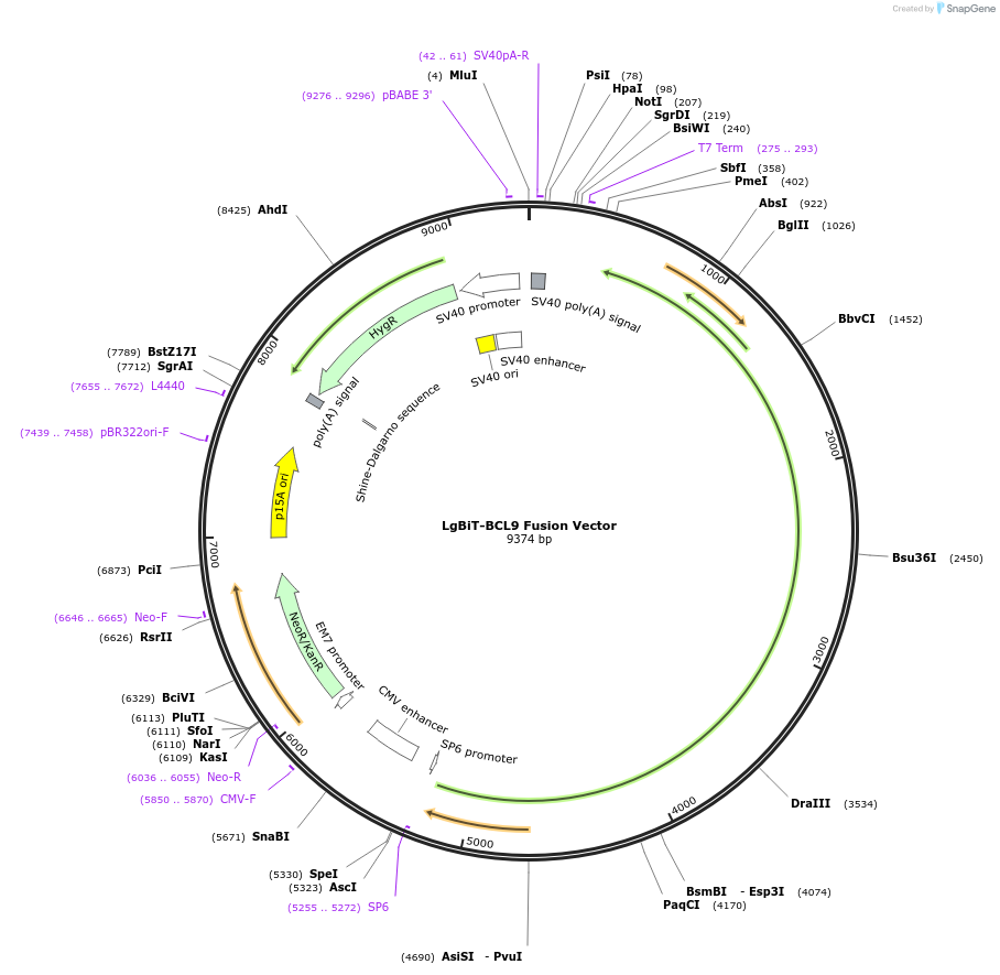 471920_map