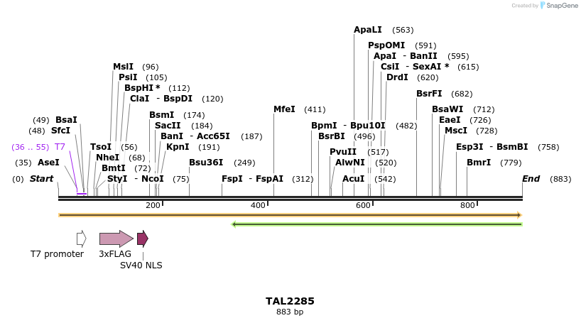 47196_map