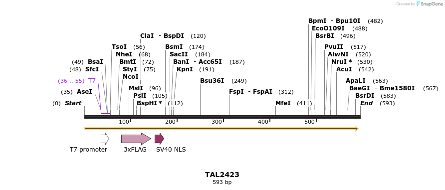 47197_map