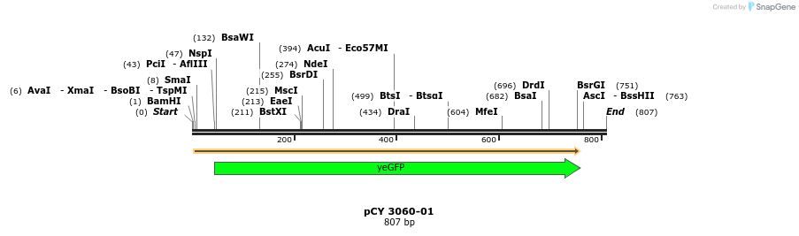 47202_map
