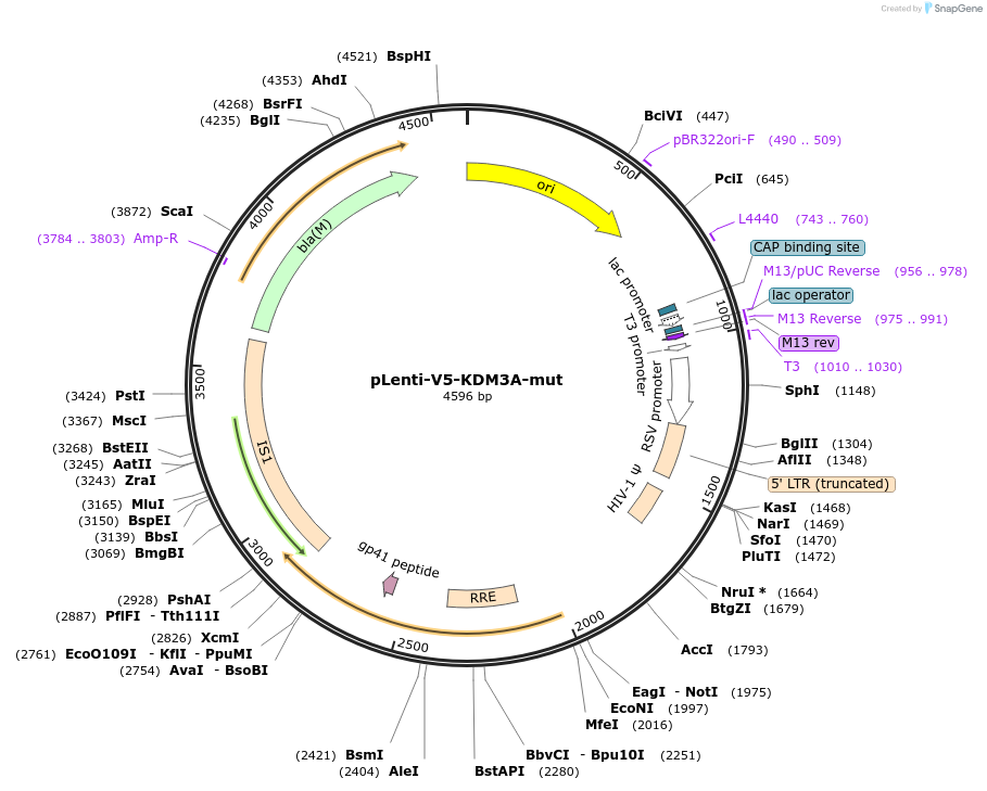 472020_map
