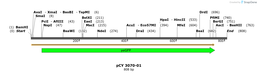47204_map