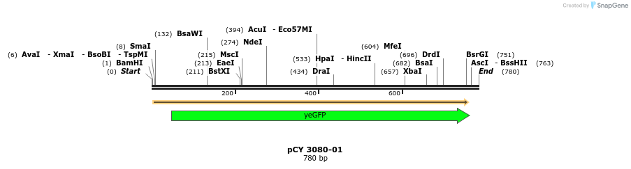 47205_map