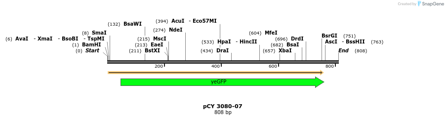 47206_map
