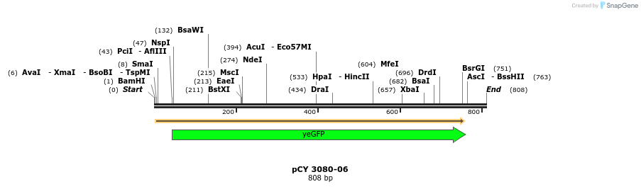 47210_map