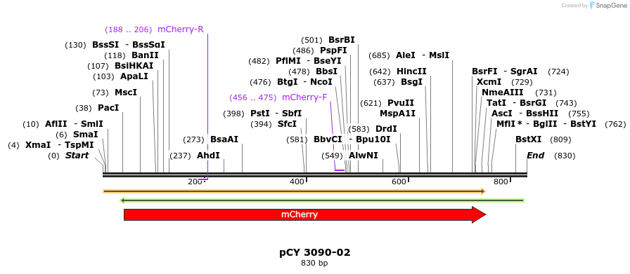 47211_map