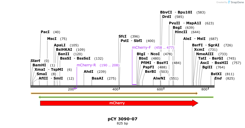 47212_map