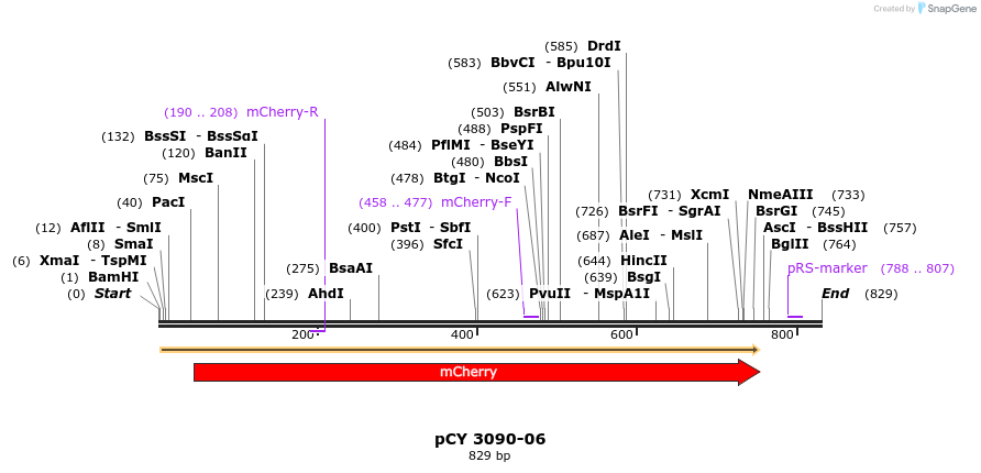 47213_map