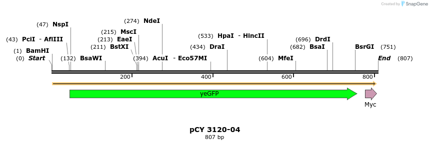 47216_map