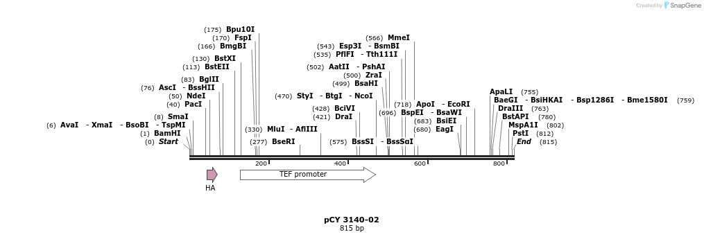 47218_map