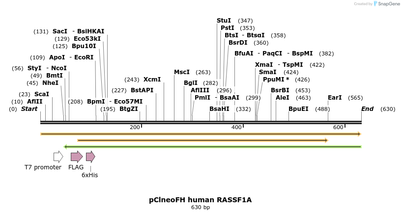47219_map