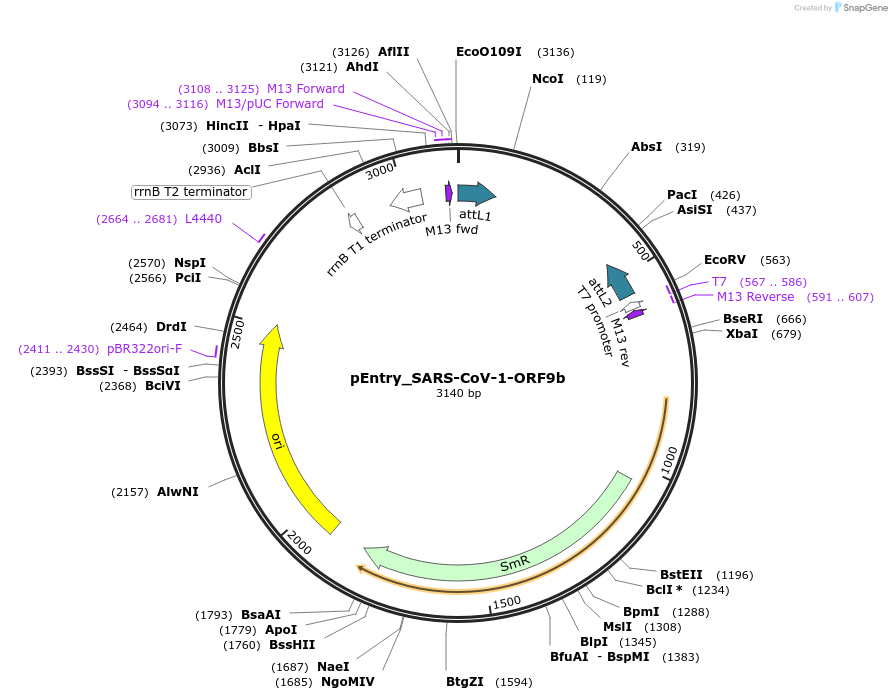 472199_map