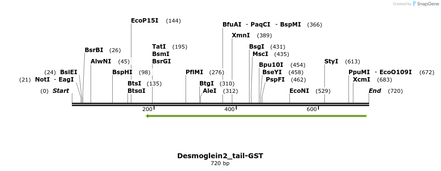 47221_map