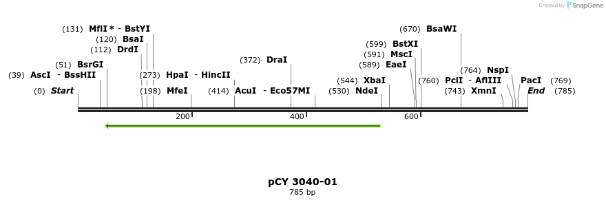 47226_map