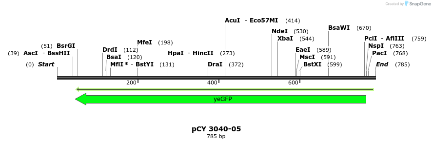 47229_map
