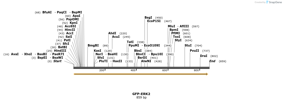 47231_map