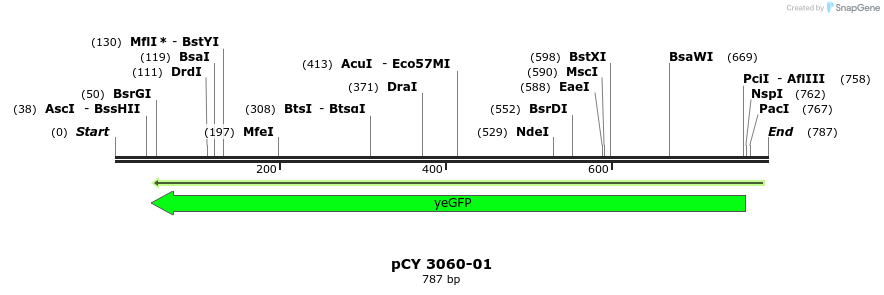 47234_map