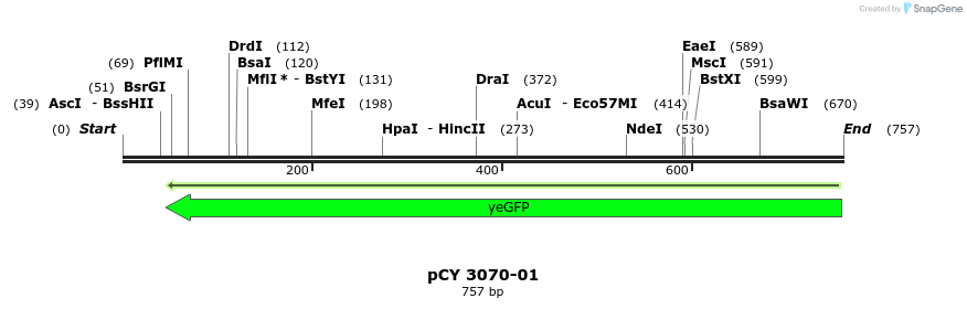 47235_map