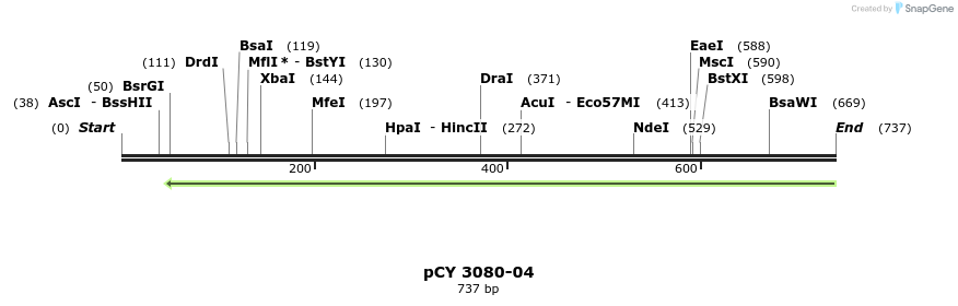 47237_map