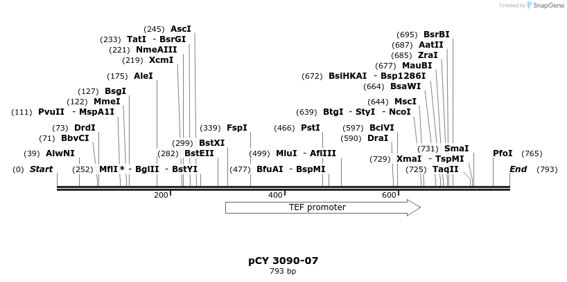 47241_map