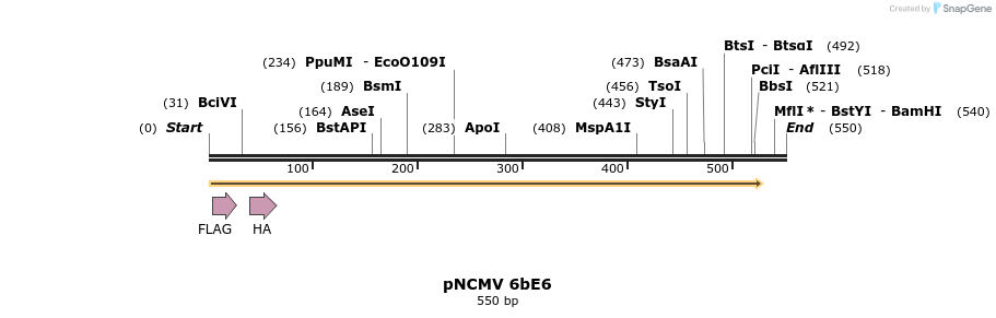 47242_map