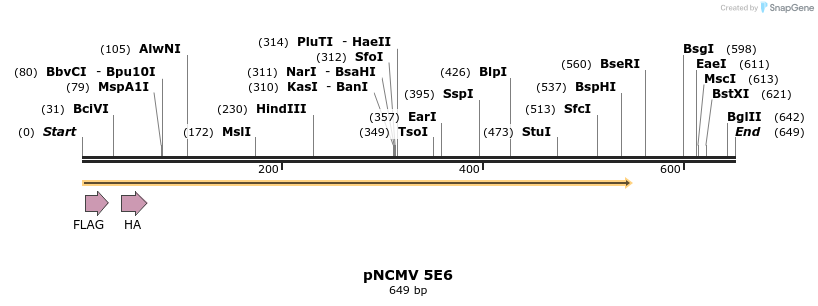 47243_map