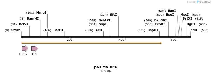 47245_map