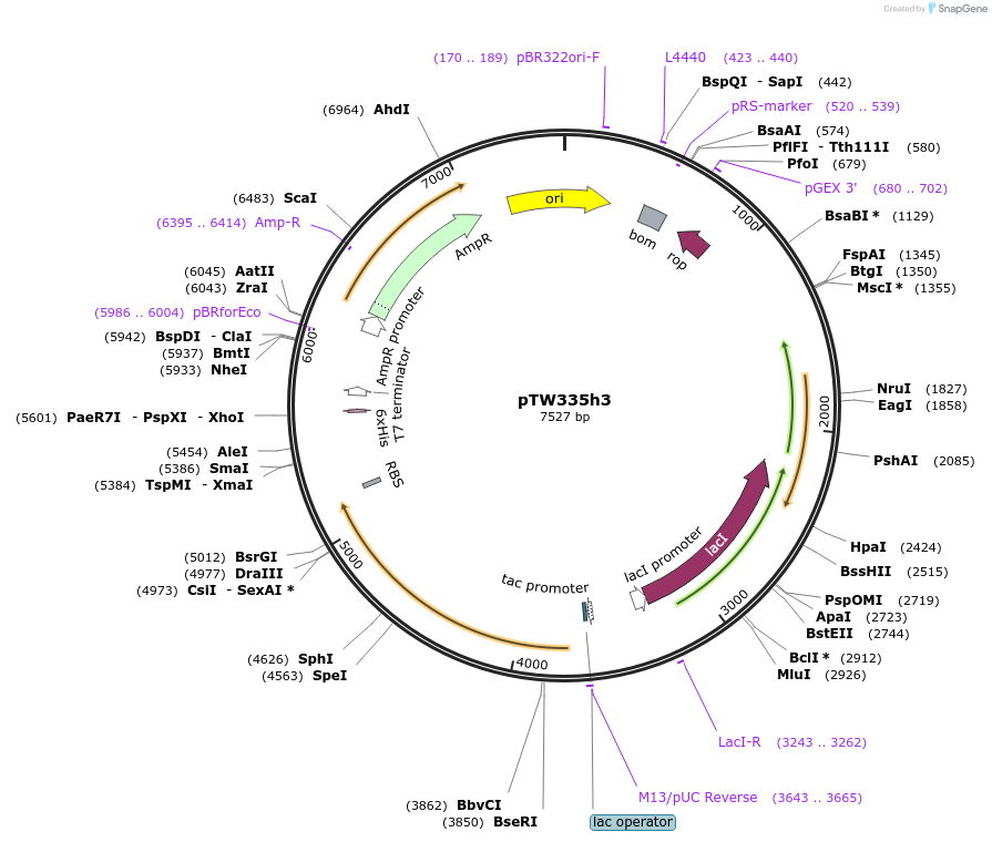472501_map