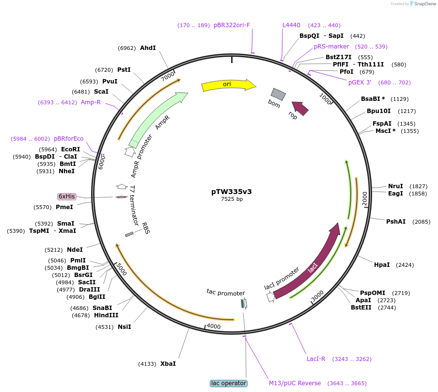 472503_map