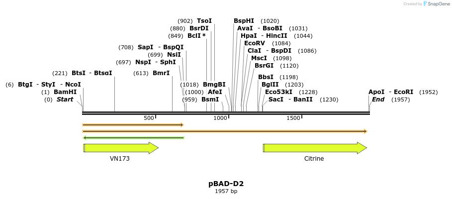 47255_map