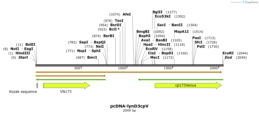 47261_map