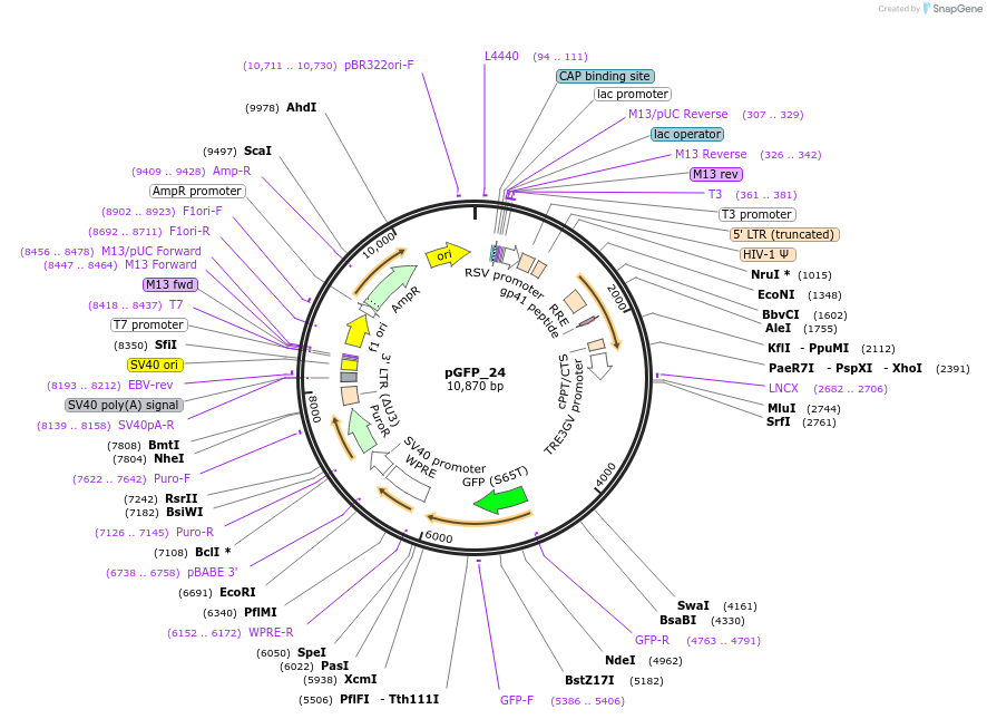 472670_map