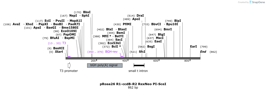 47268_map