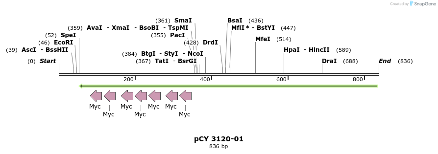 47269_map