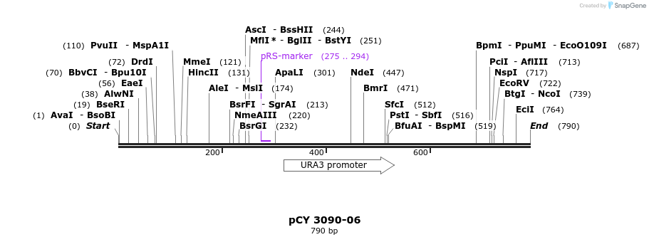 47271_map