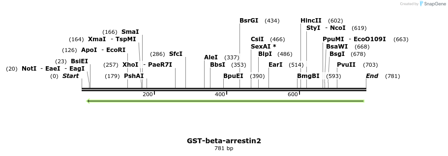 47274_map