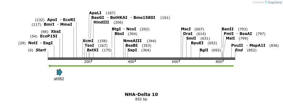 47276_map