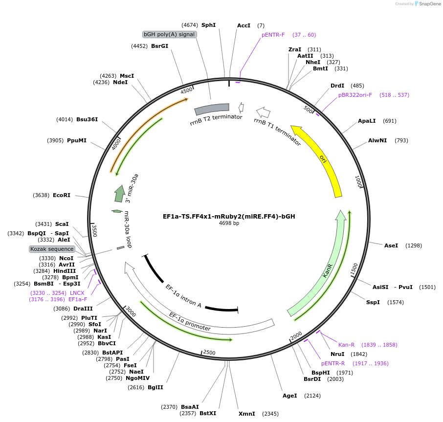 472816_map