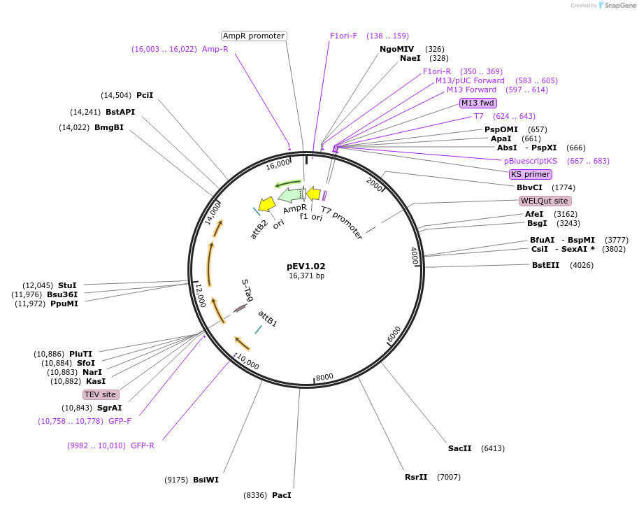 47282_map