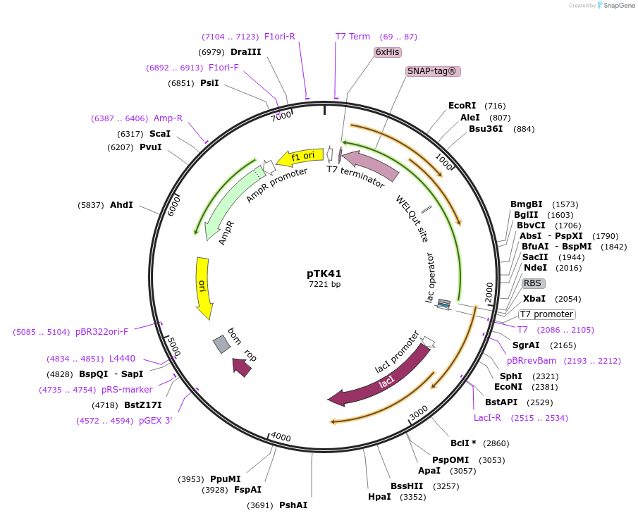 472830_map