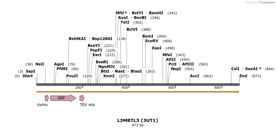47289_map