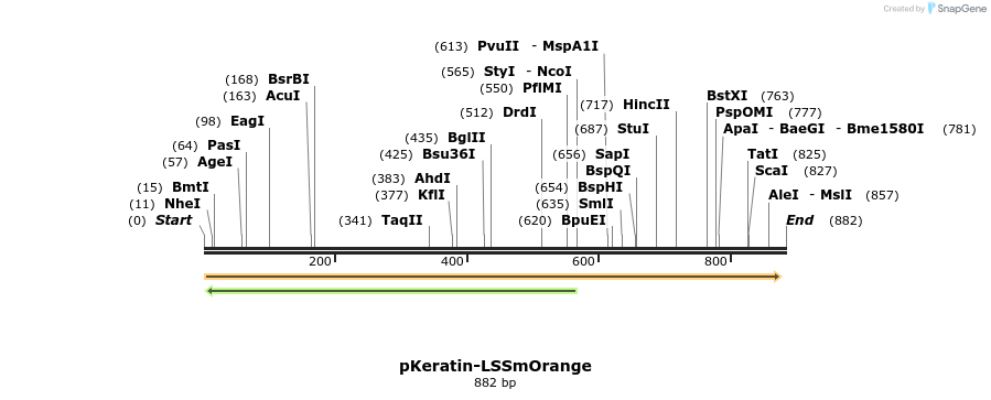 47290_map