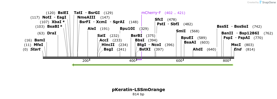 47291_map