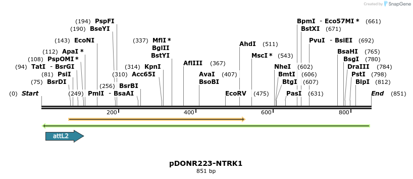 47295_map