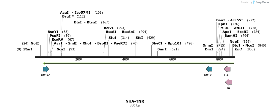 47300_map