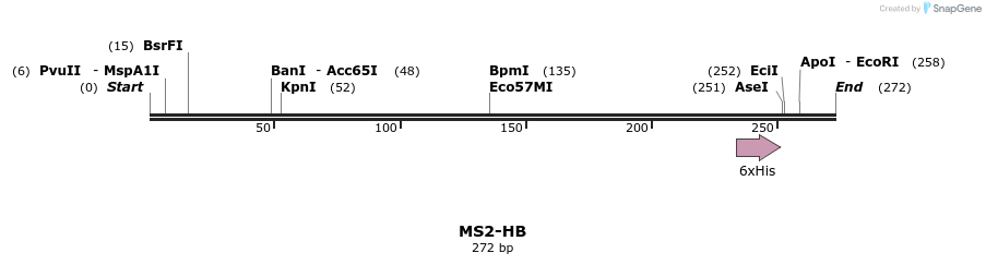 47301_map